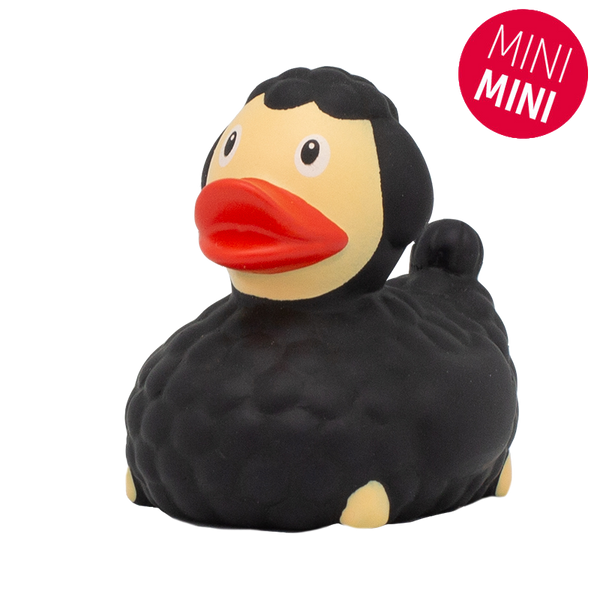 Mini pato de oveja negra