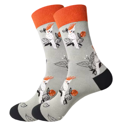 chaussettes grises cacatoes mrcol