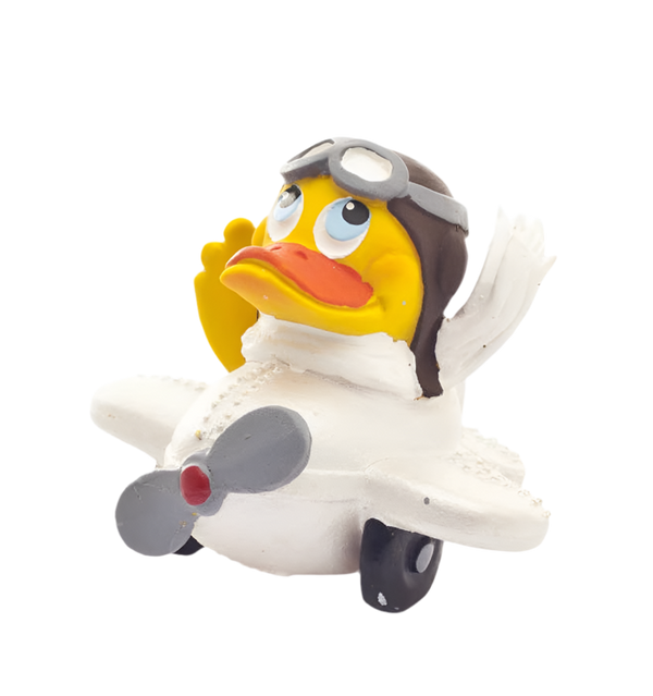 Aereo pilota di anatre