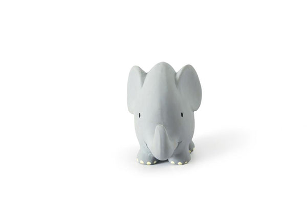 Il mio primo animale dello zoo: l'elefante