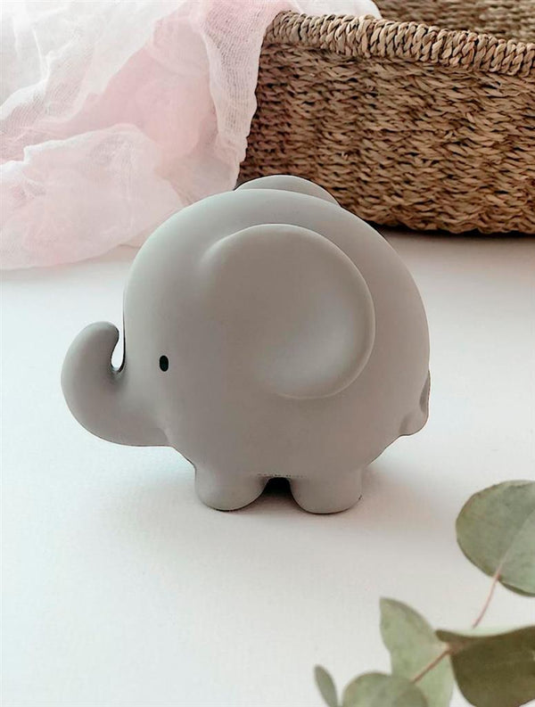 Il mio primo animale dello zoo: l'elefante