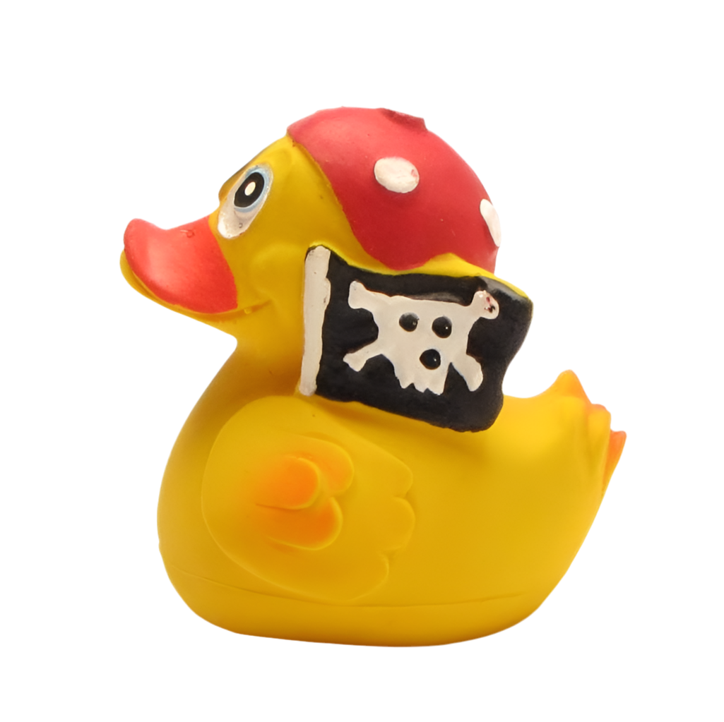 Canard Pirate