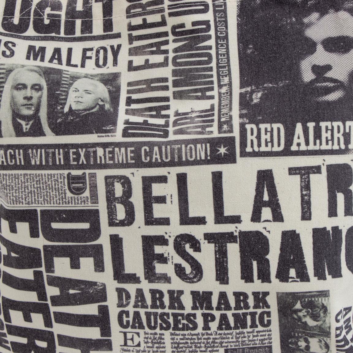 Bolsa de mano - HARRY POTTER - Se busca