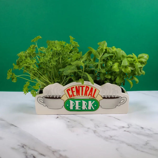 Maceta de flores Friends - Central Perk