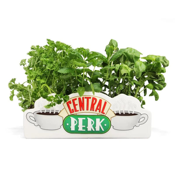 Maceta de flores Friends - Central Perk