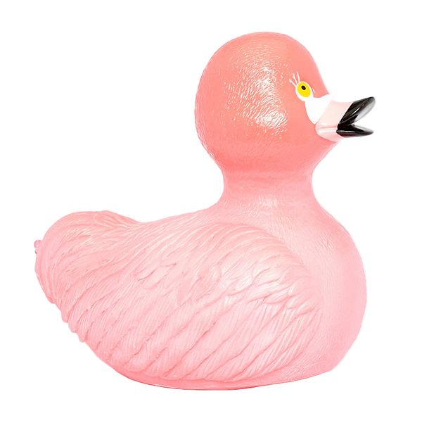 Anatra fenicottero rosa