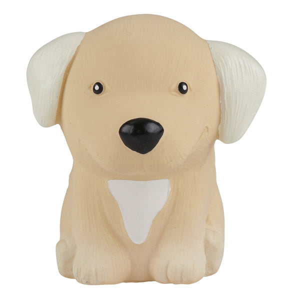 Cucciolo di Golden Retriever in parata