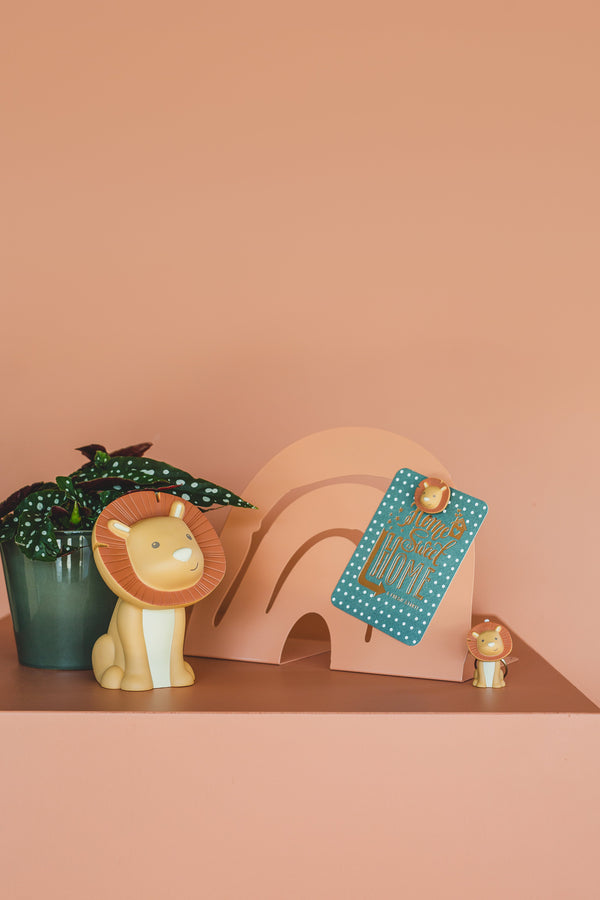 Set di 4 magneti - Hakuna