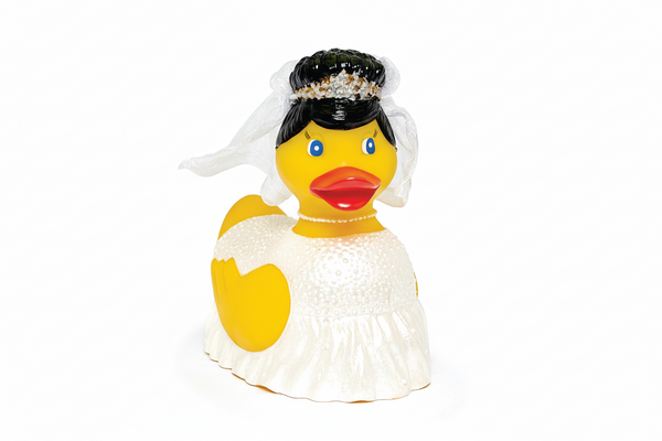 Canard Mariée