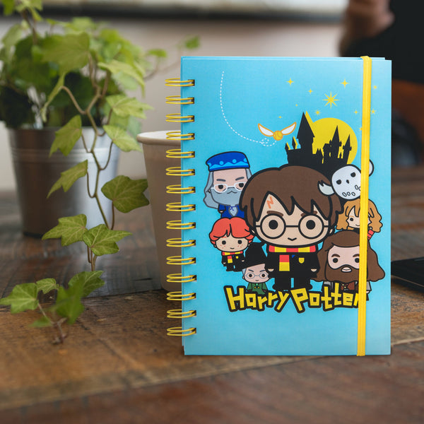 Carnet Harry Potter et ses amis