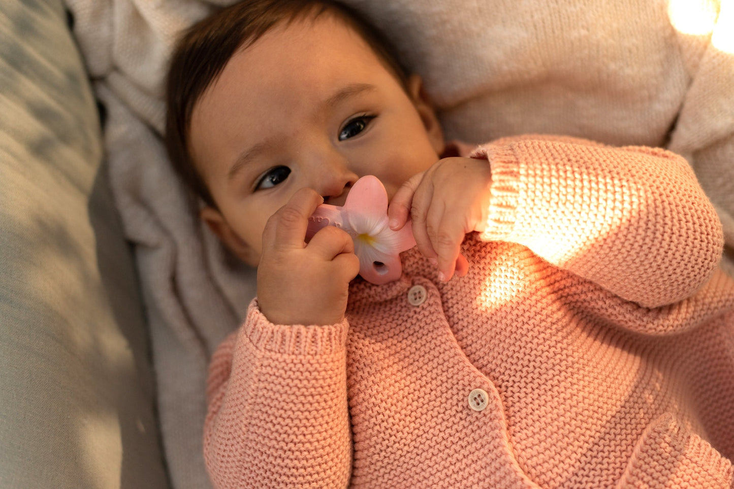 Produit Bella La Fleur Maison