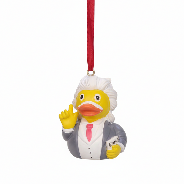 Decorazione sospesa: anatra di Albert Einstein