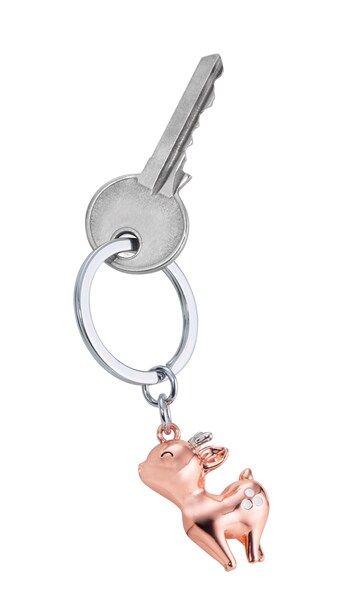 Key Door Faon Rosie