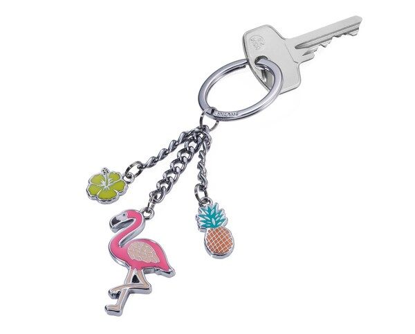 Flamingo pink flamingo Keys
