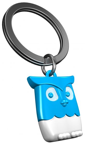 Puerta de llave de búho azul