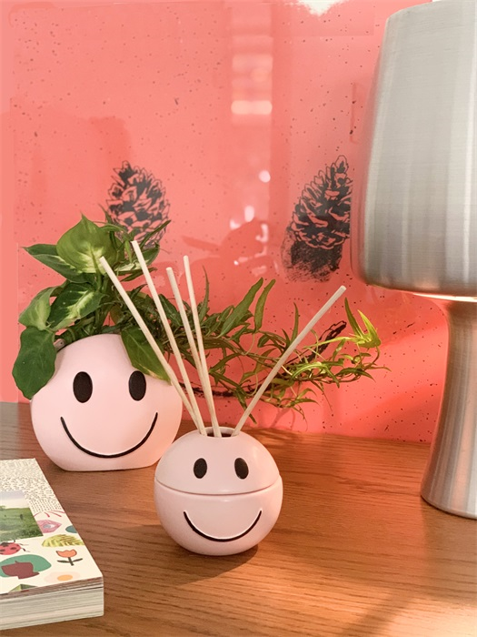 Humor rosa do pote de flor