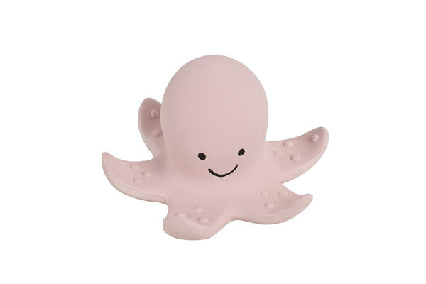 Il mio primo animale marino: il polpo