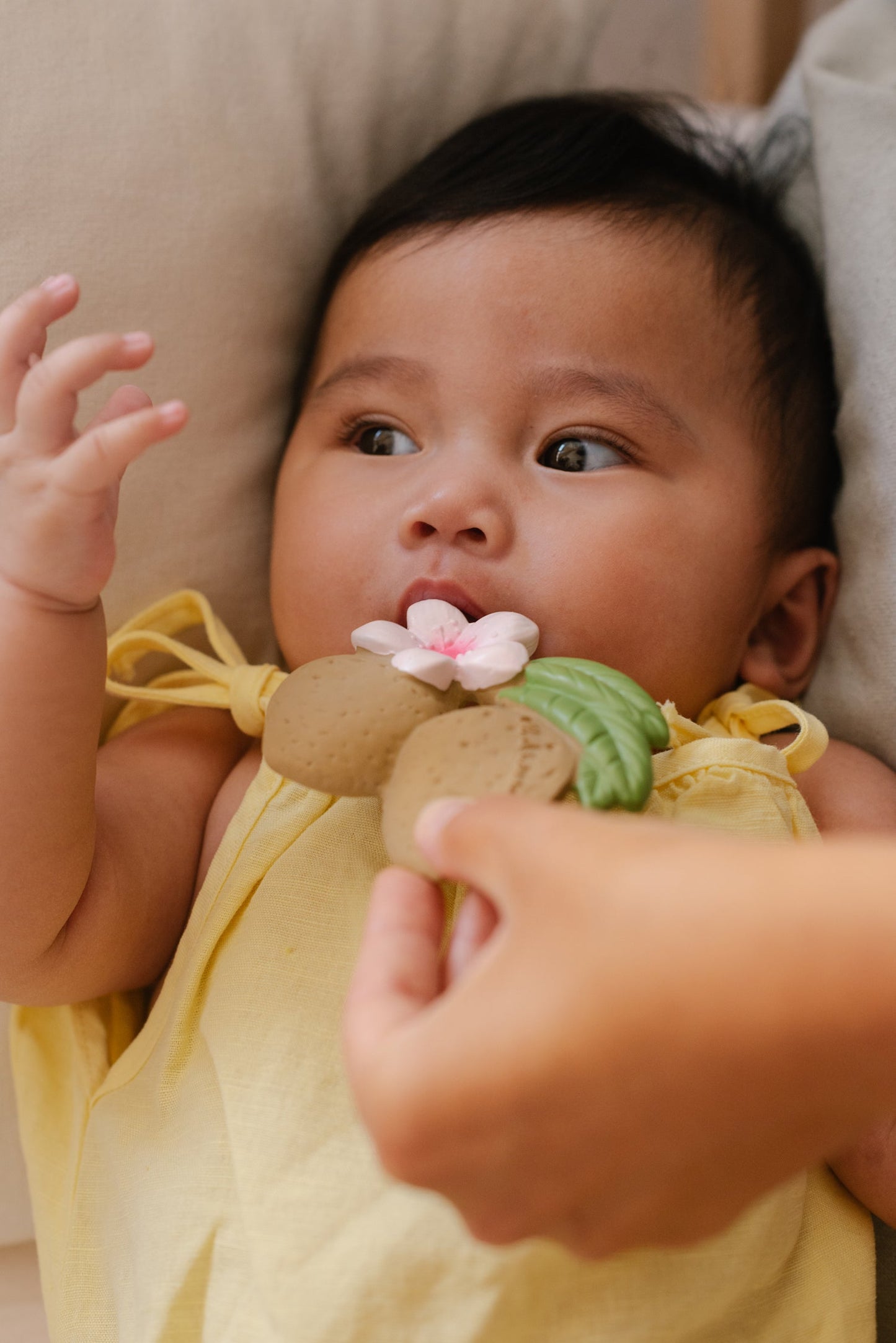 Produit Aly L’amande Maison