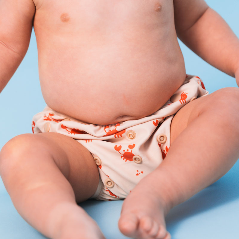 Swim Diaper - Red/Beige - Crabby