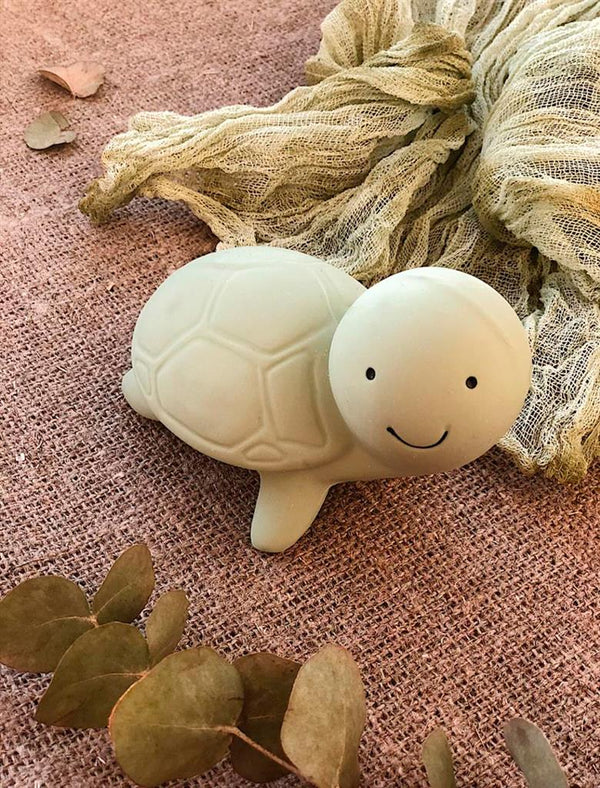 Il mio primo animale marino: la tartaruga