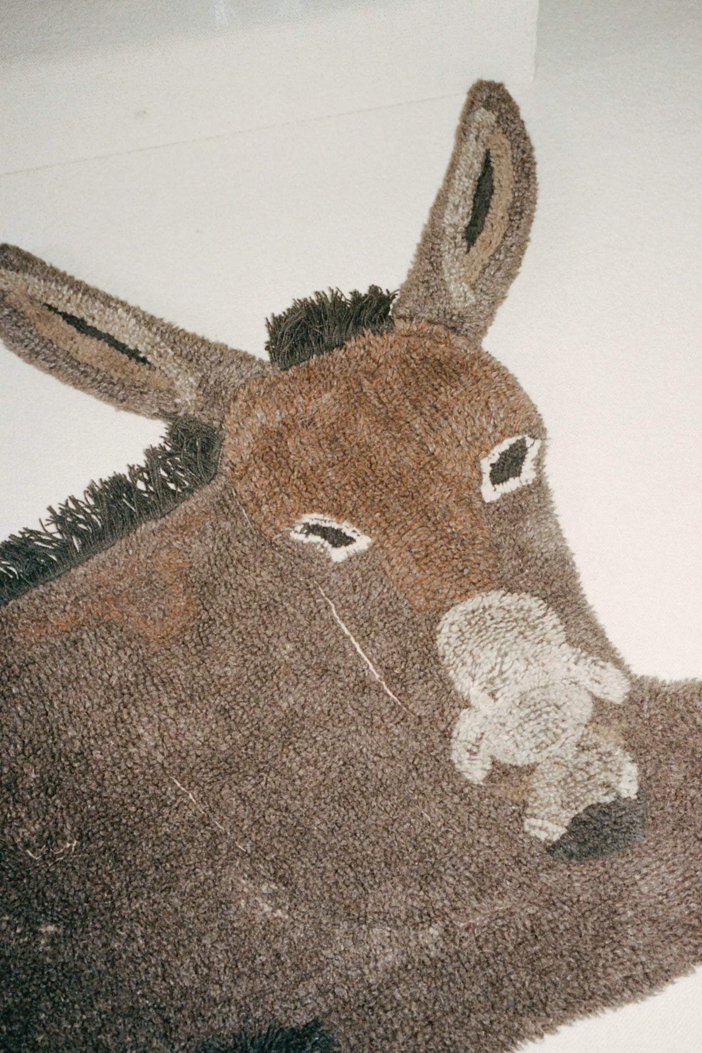 Woolable Rug Hector
