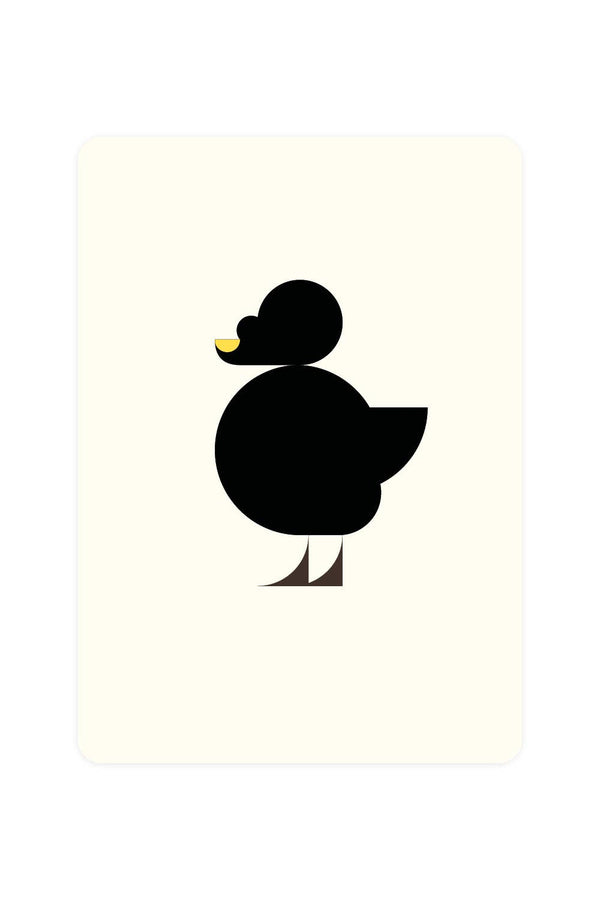 Postal de un pato del Mar Negro