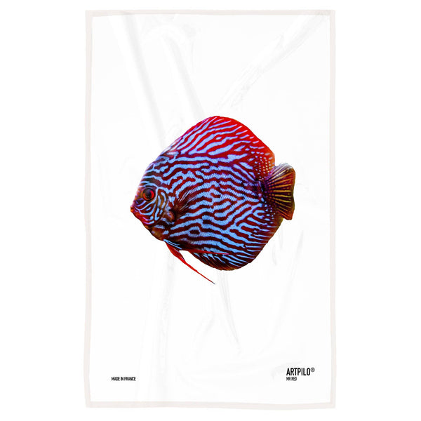 Strofinaccio per pesci Discus