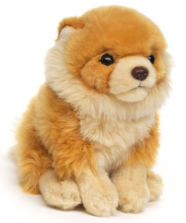 Peluche Spitz nain assis Uni Toys