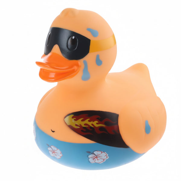 Grand Canard Surfeur