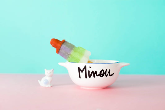 bol breton minou pied de poule