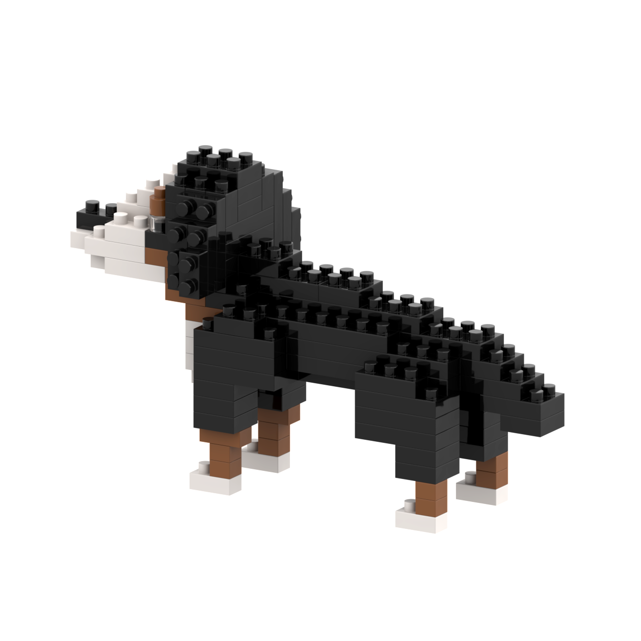 Brixies Saint Bernard