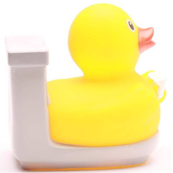 Canard WC