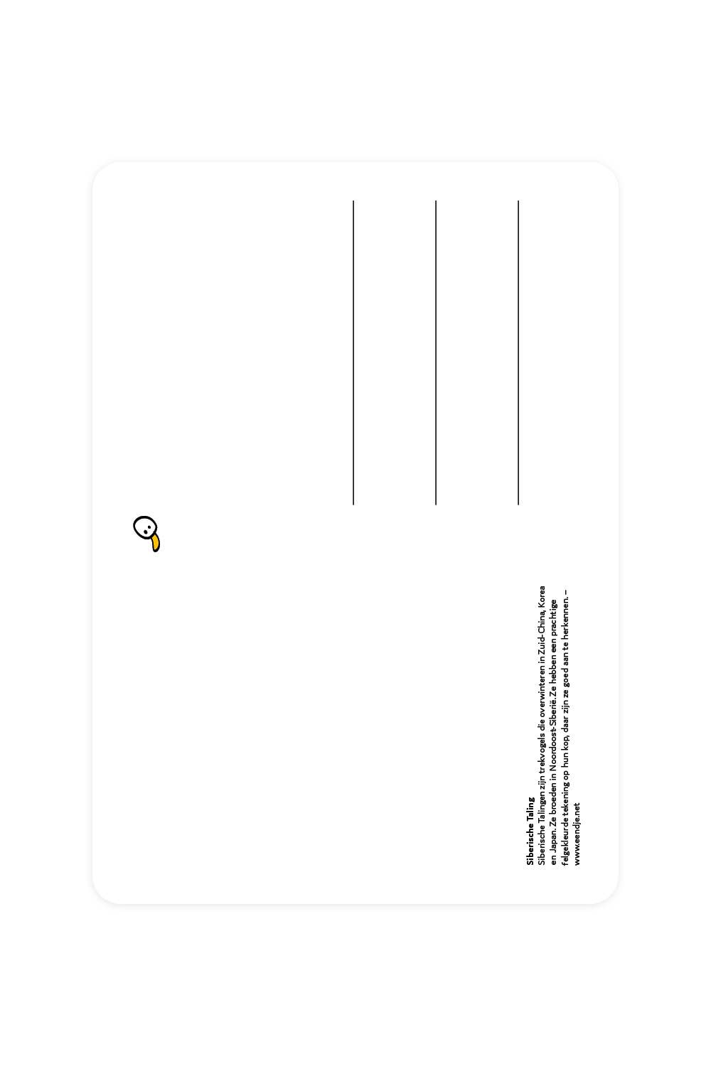 Postcard with Siberian Teal