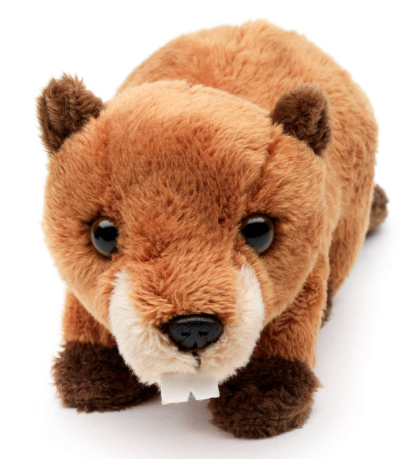 Peluche de castor Uni Toys