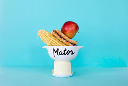 bol breton matou pied de poule