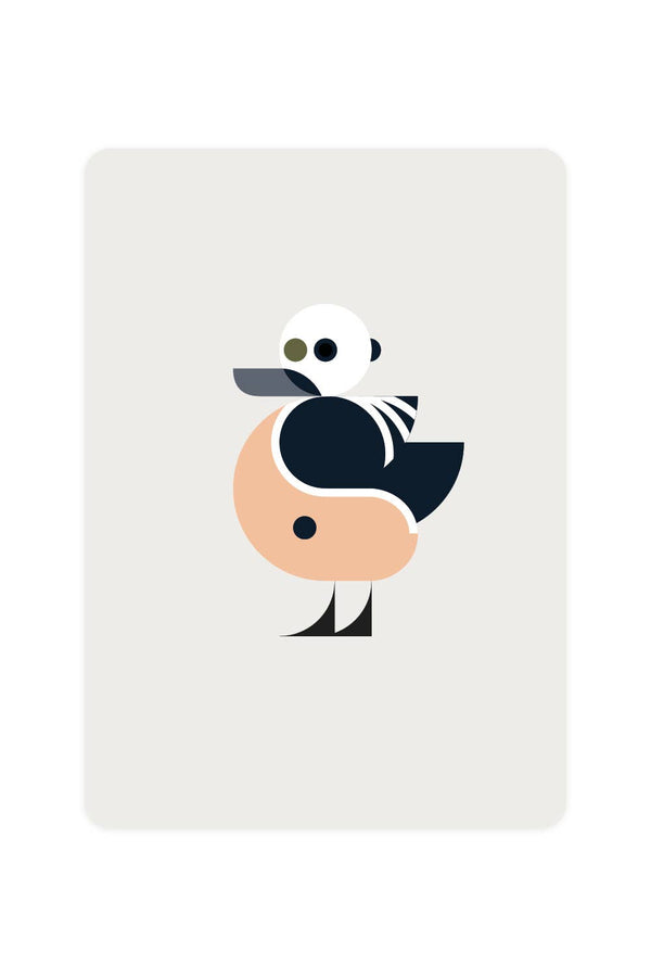 Postal con Eider de Stellers