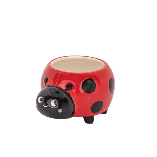 Mini jardinière coccinelle