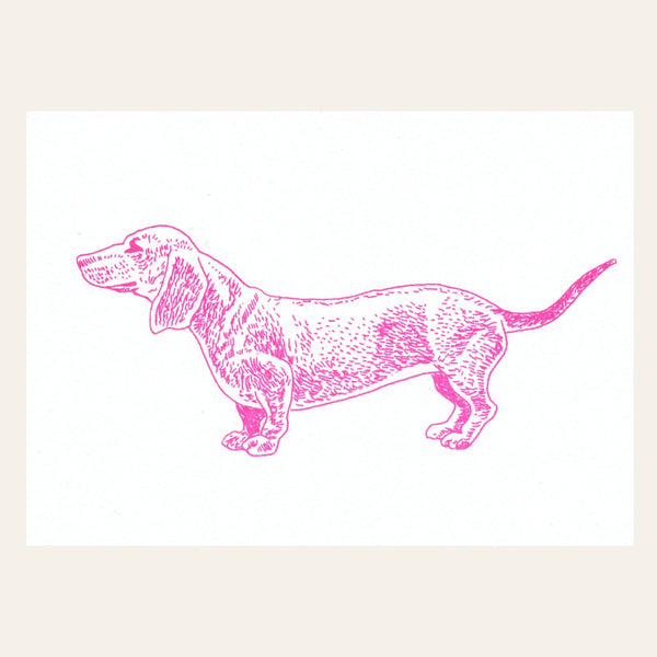 Cartolina con bassotto rosa neon