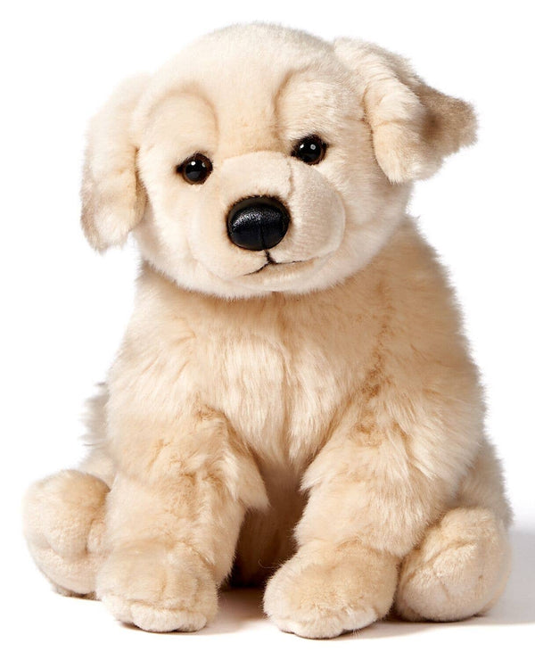 Golden Retriever, assis - peluche Uni Toys