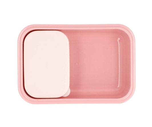 Fiambrera Bento de Insectos