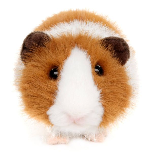 Peluche Cochon d'Inde (marron) Uni Toys