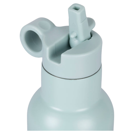 Lion Water Bottle 420ml