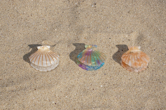Pince à cheveux Coquillage Topaze