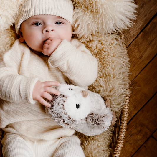 Bouillotte Peluche Warmies Chouette