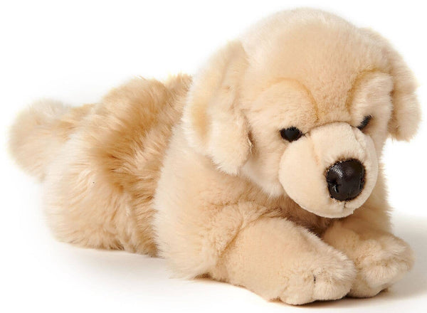Golden Retriever, couché - peluche Uni Toys