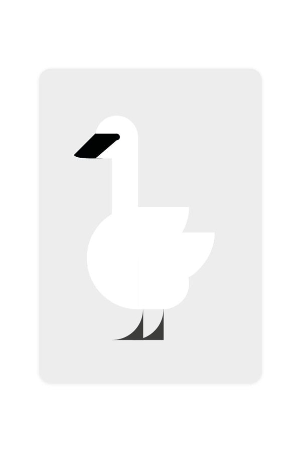 Postal del cisne trompeta