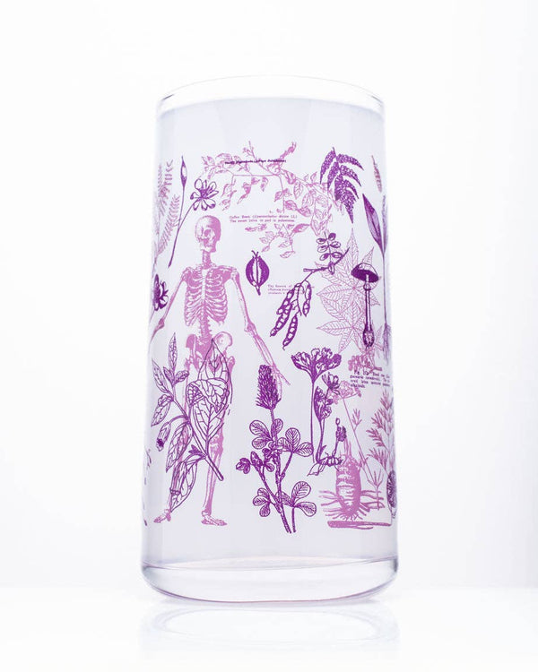 Verres à boire – Plantes Vénéneuses – produit scientifique Cognitive Surplus EU, vue 2