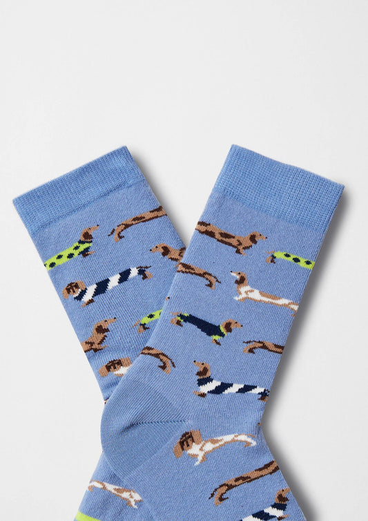 BePets Blue Socks