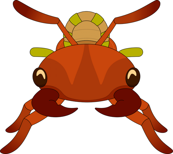 Red Ant Buggy Plush (9in)
