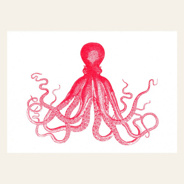 Cartolina del polpo rosso